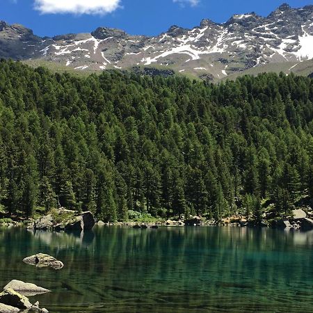 Chasa Sassalbo Bed & Breakfast Poschiavo Luaran gambar