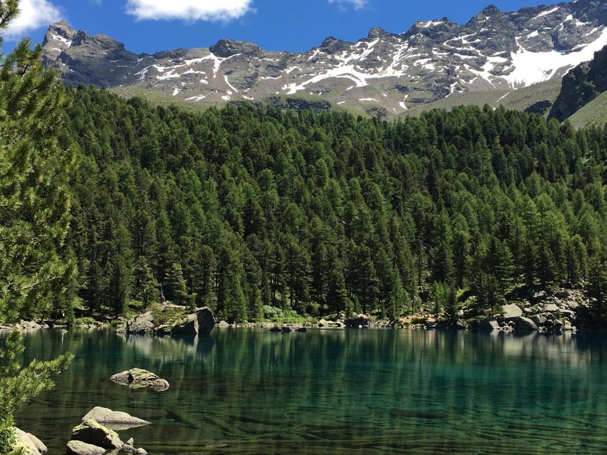 Chasa Sassalbo Bed & Breakfast Poschiavo Luaran gambar