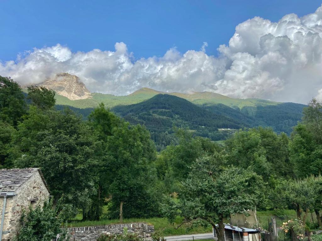 Chasa Sassalbo Bed & Breakfast Poschiavo Luaran gambar