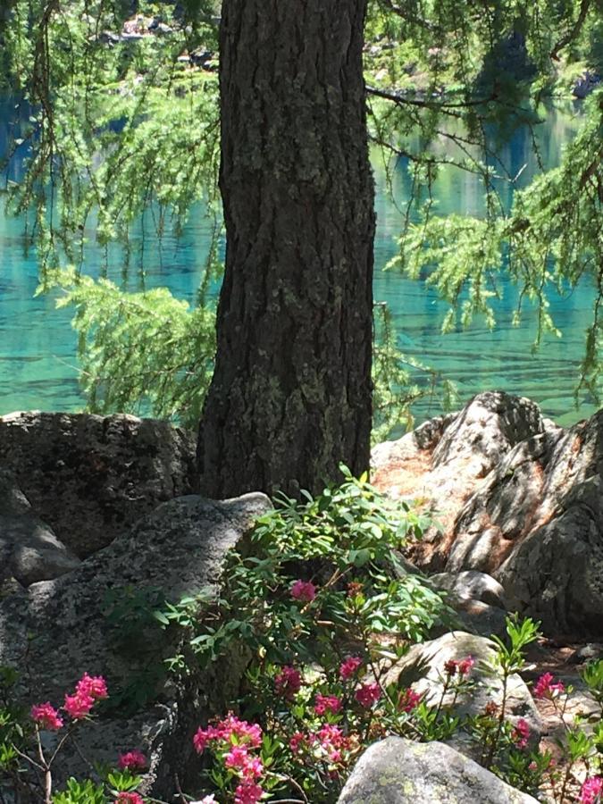 Chasa Sassalbo Bed & Breakfast Poschiavo Luaran gambar